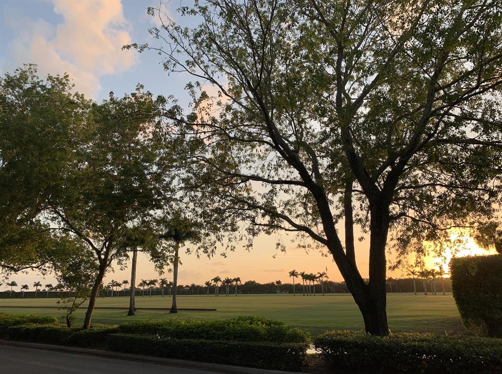 WHITE BIRCH FARM - Land