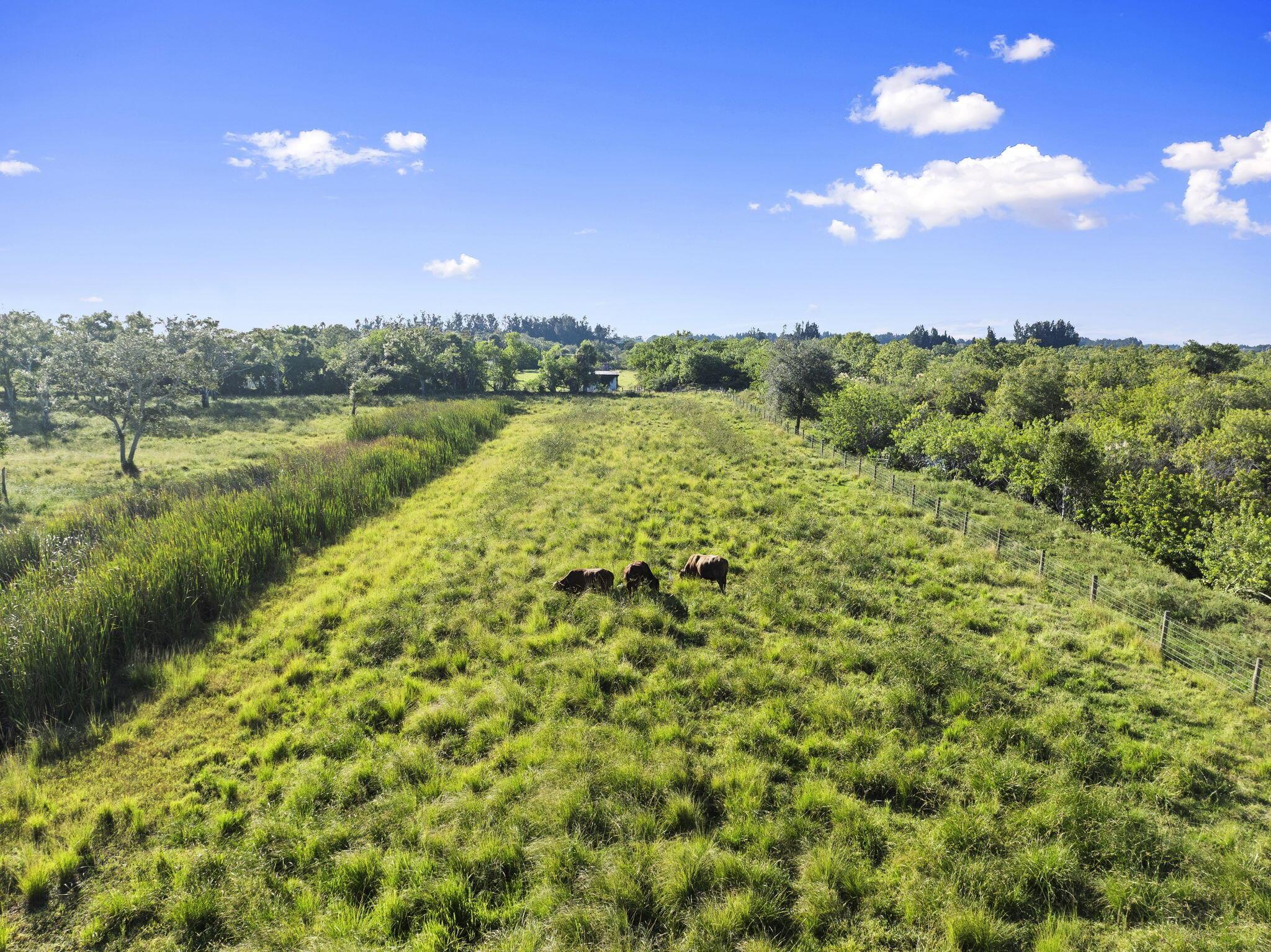 METES AND BOUNDS - Residential