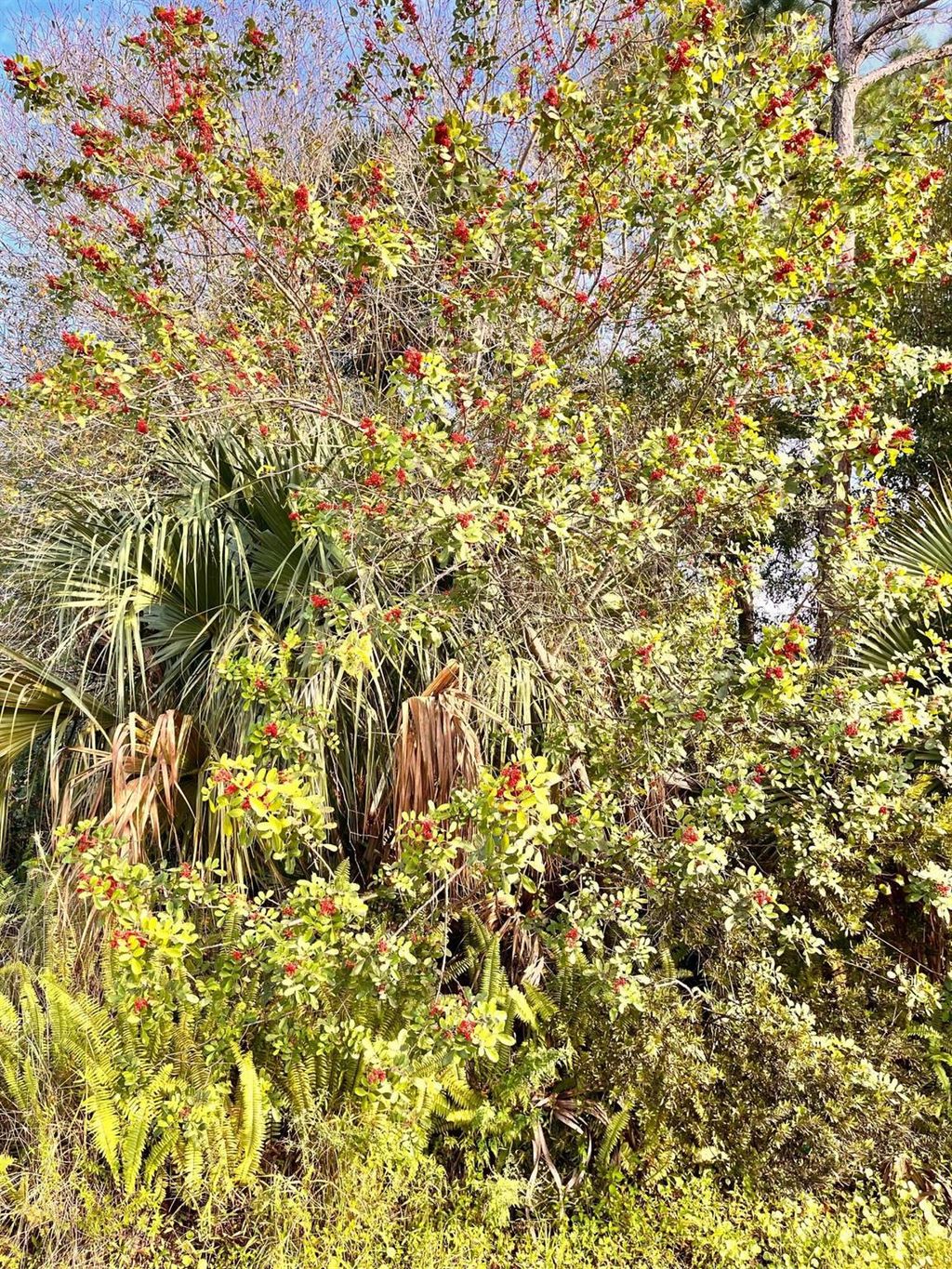 Photo of 1661 SW California Boulevard, Port Saint Lucie, FL 34953 (MLS # R10946042)