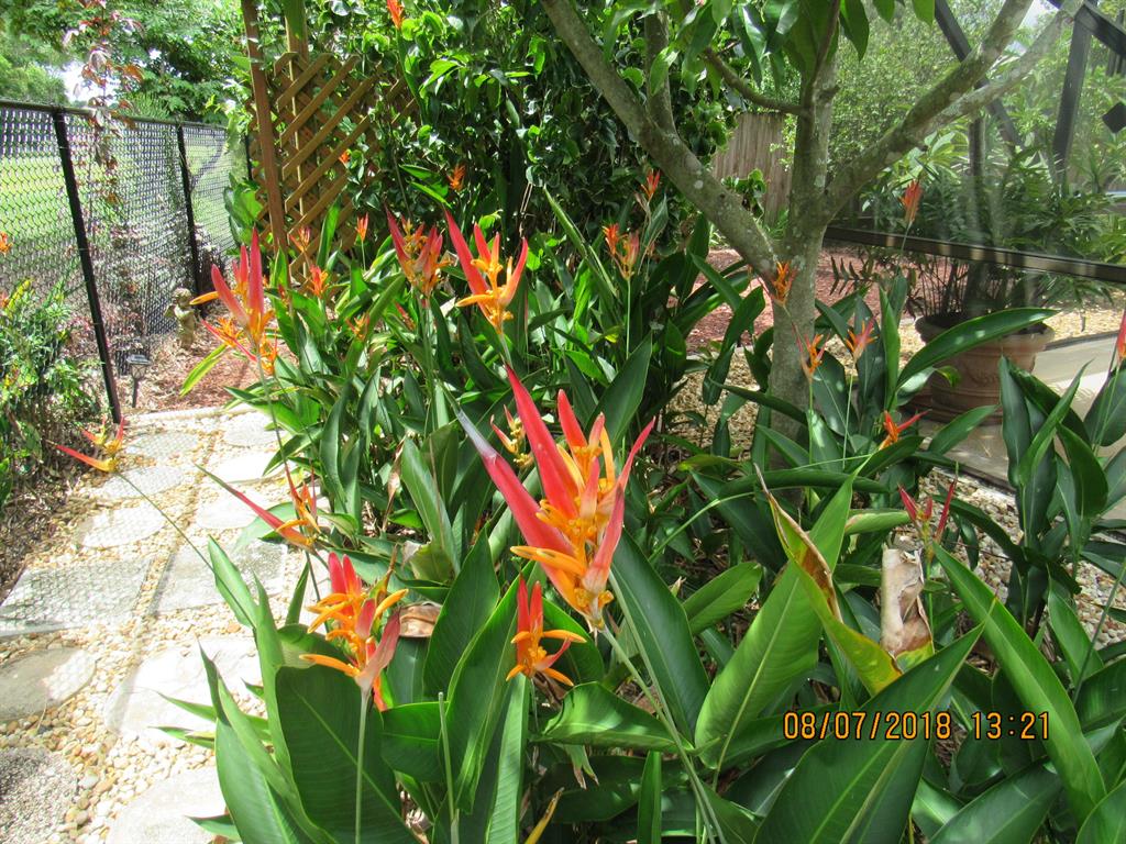 PORT ST LUCIE SECTION 43 - Residential