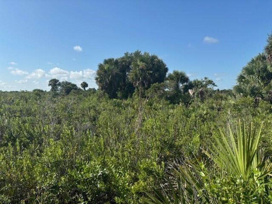 Double lot in Viking Estates. Close to the Kissimmee Prairie State Park. Bring your 4 -wheelers. This property is not only ideal for recreational uses such has camping, hunting and shooting, but it’s agricultural as well.
Owner financing Available