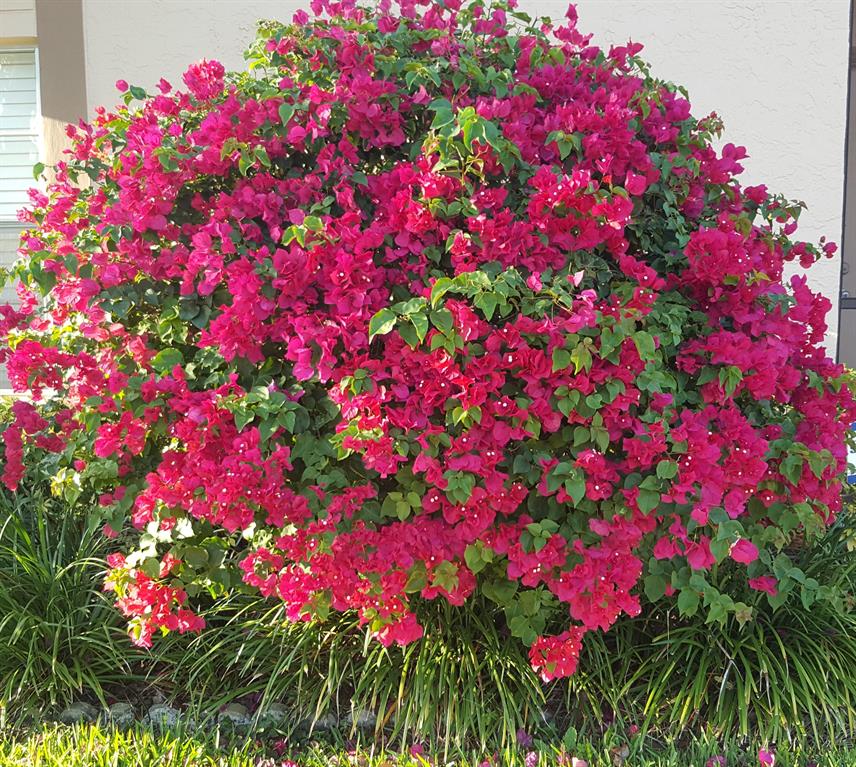 WHISPER WALK - Residential