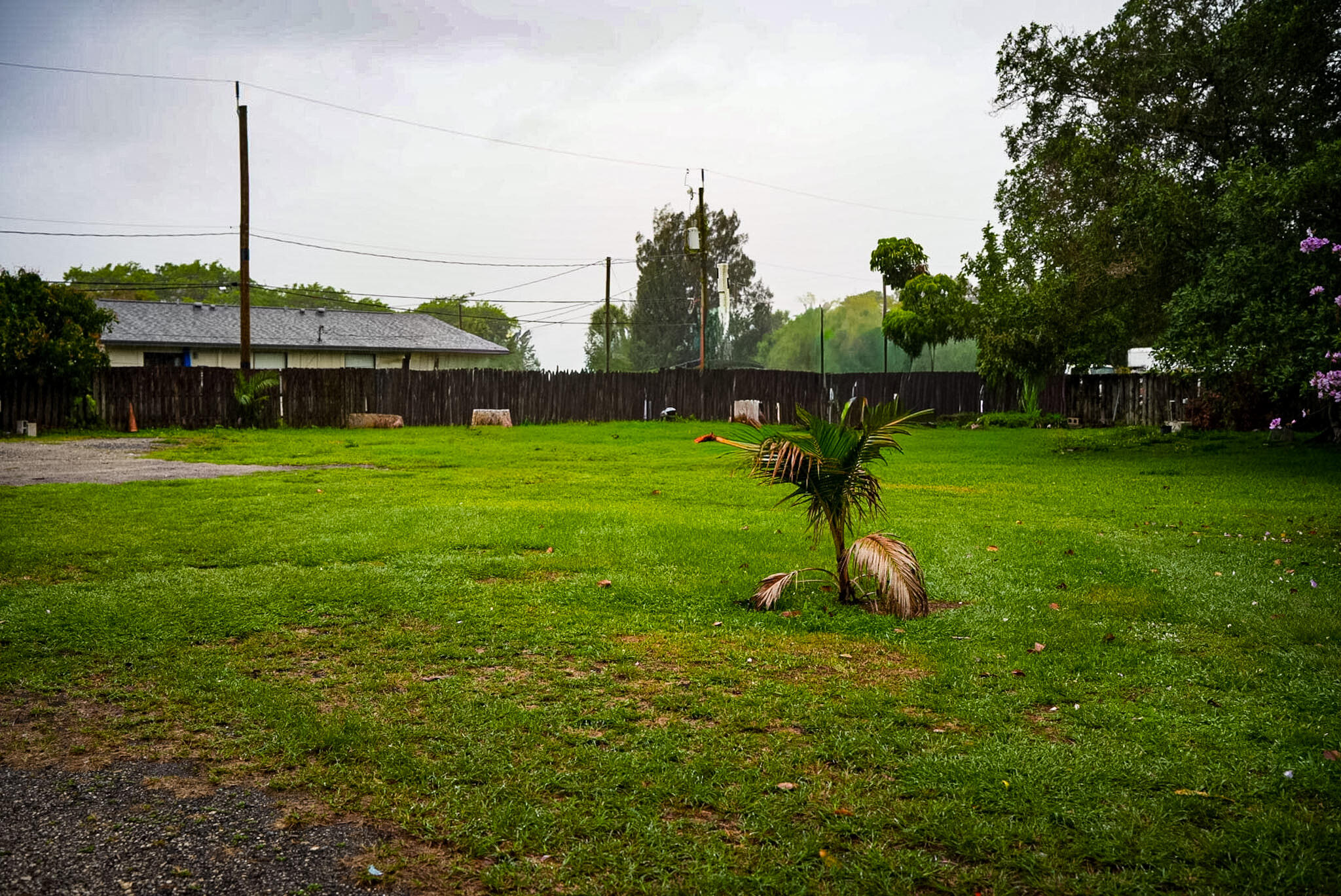 LAKEWOOD GARDENS 1 - Residential