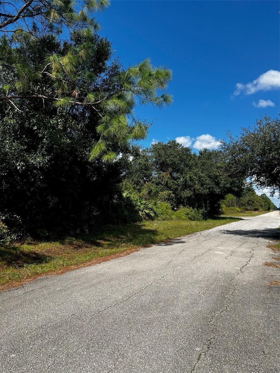 Excellent Location! Build your Dream Home on this beautiful 1/2 Acre lot in Lehigh Acres. No houses on either side. New & existing homes already in the area. Not far from shopping, restaurants, schools and all the amenities Lehigh Acres, Fort Myers and Fort Myers Beach has to offer. (build/invest)!