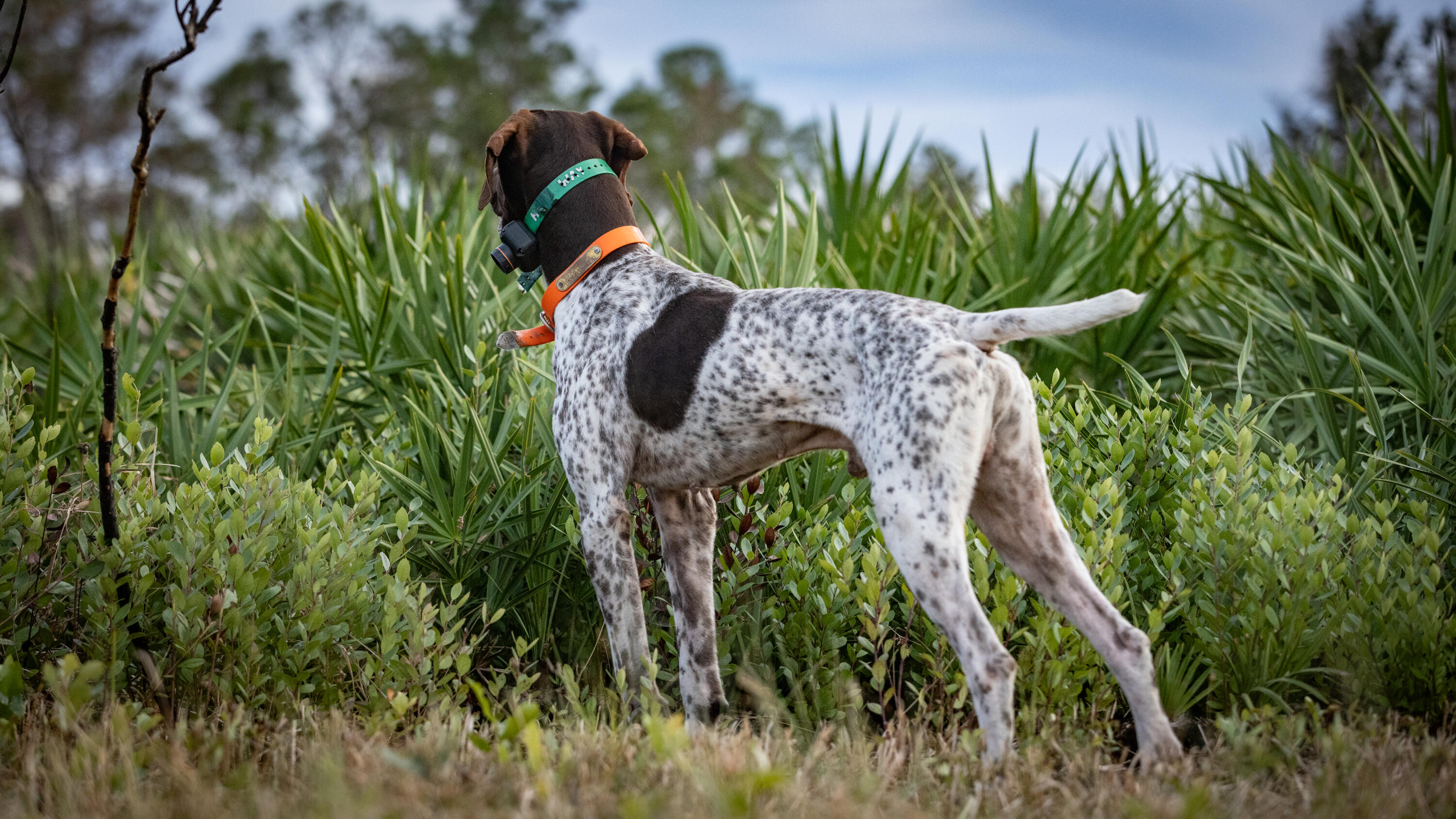 INDIAN HAMMOCK HUNT AND RIDING - Residential