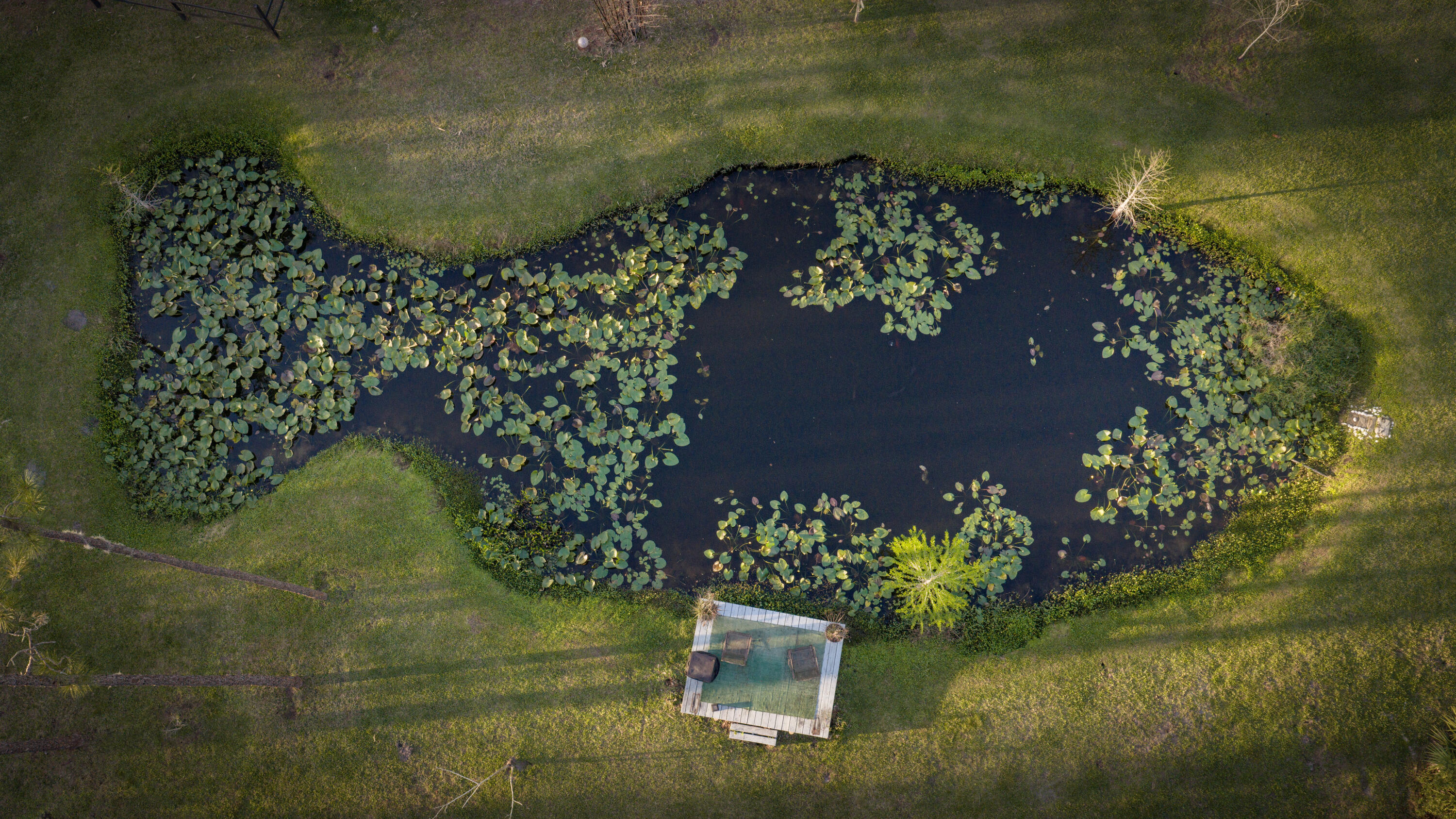 INDIAN HAMMOCK HUNT AND RIDING - Residential