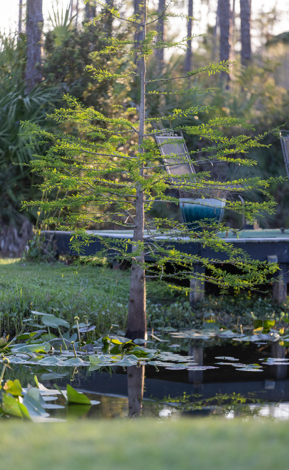 INDIAN HAMMOCK HUNT AND RIDING - Residential