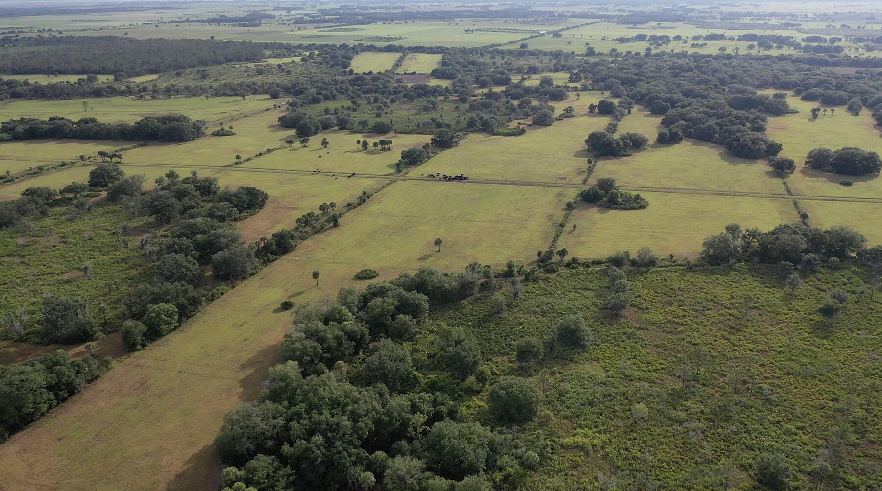INDIAN HAMMOCK HUNT AND RIDING - Residential