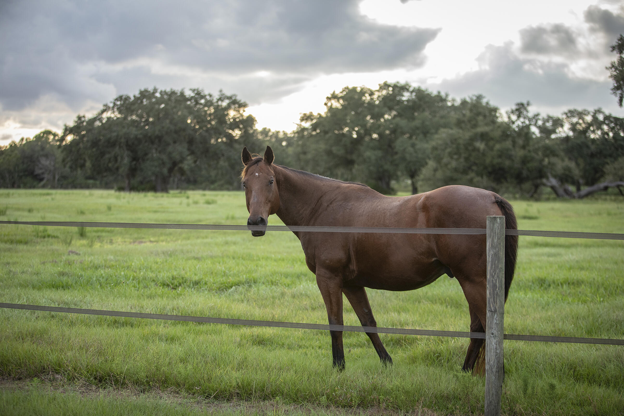 INDIAN HAMMOCK HUNT AND RIDING - Residential