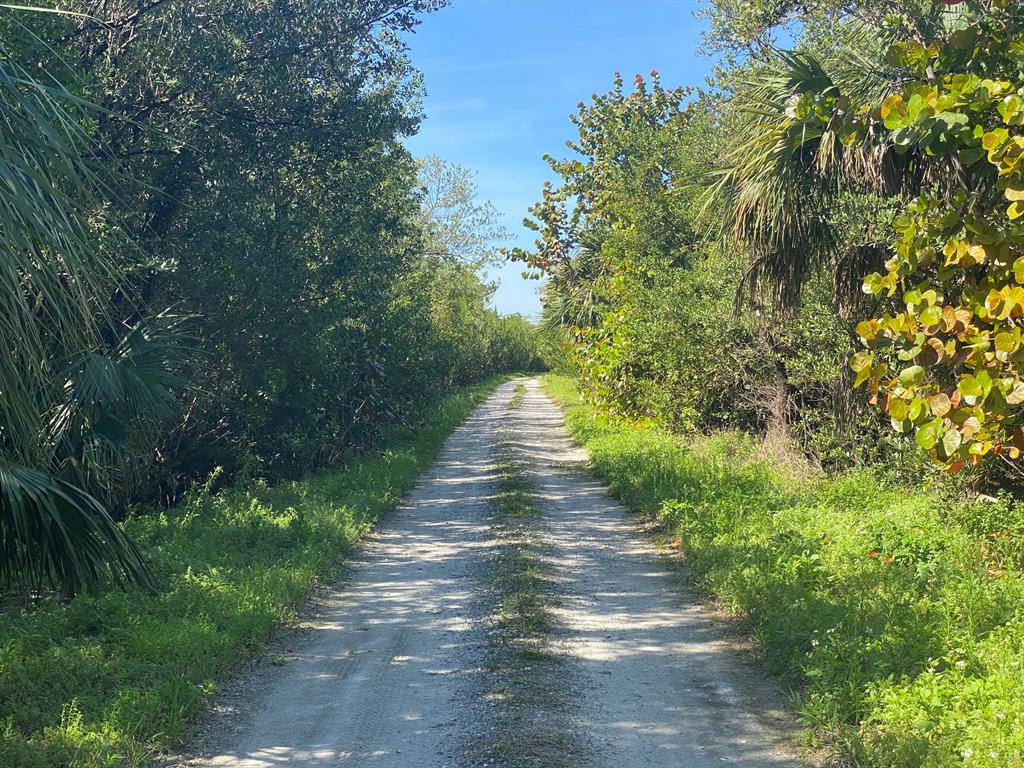 AVALON BEACH PUD - Land