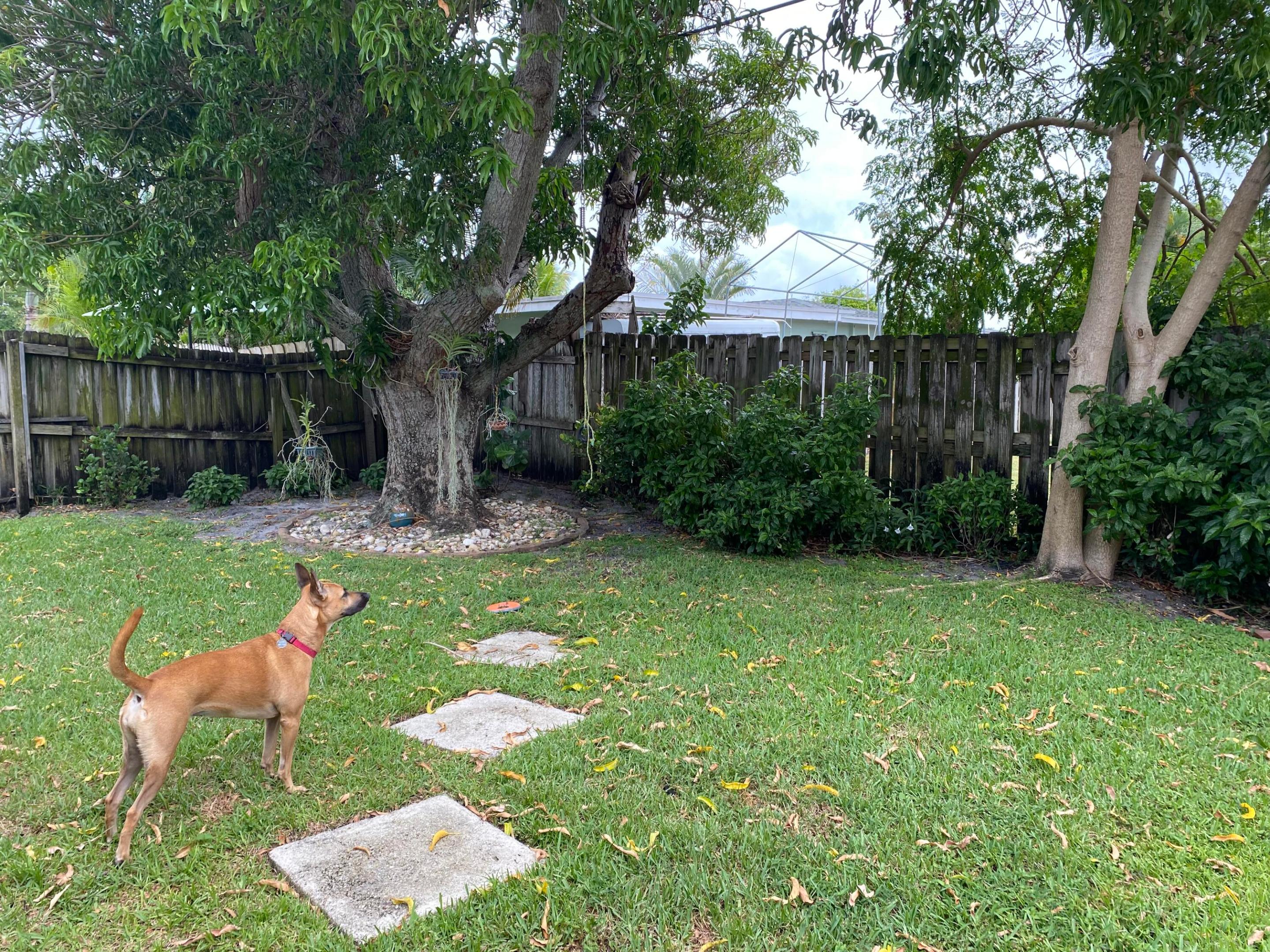 NORTH PALM BEACH VILLAGE OF 1 - Residential Lease