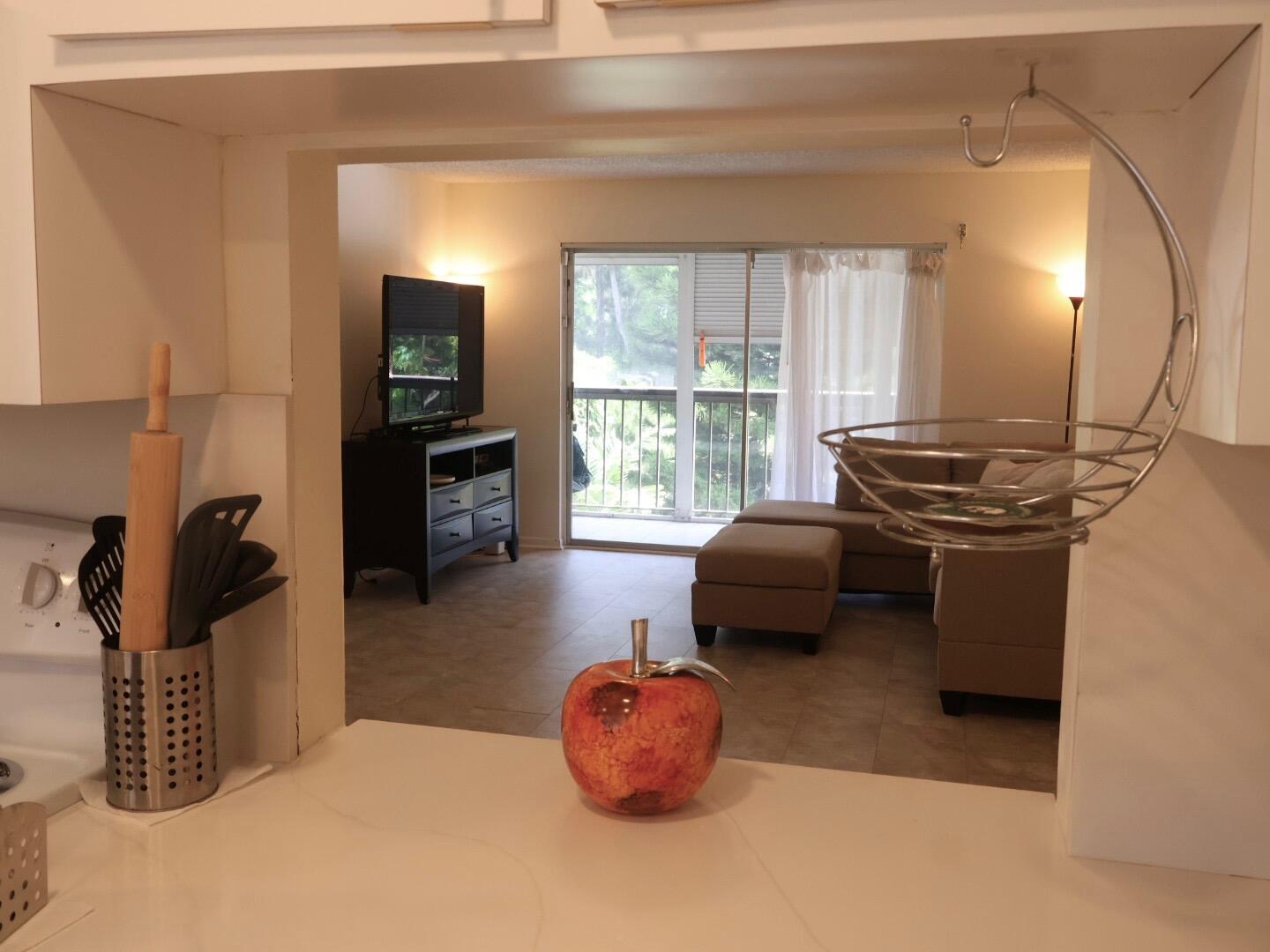 7080 NOVA Drive 307B