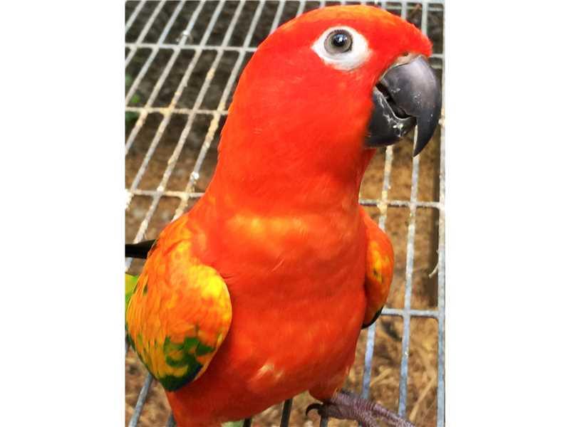 PORT ST LUCIE SECTION 17 - Residential