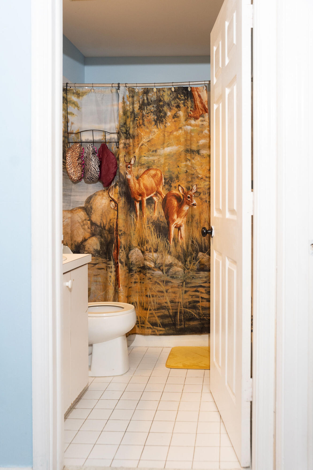 REGENCY LAKES AT COCONUT CREEK - Residential