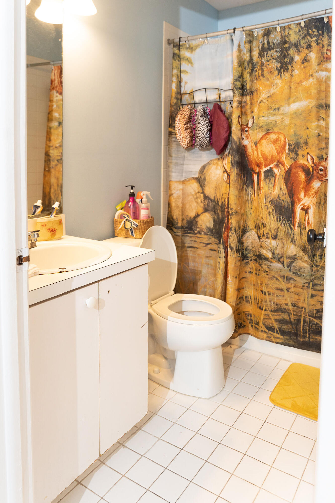 REGENCY LAKES AT COCONUT CREEK - Residential