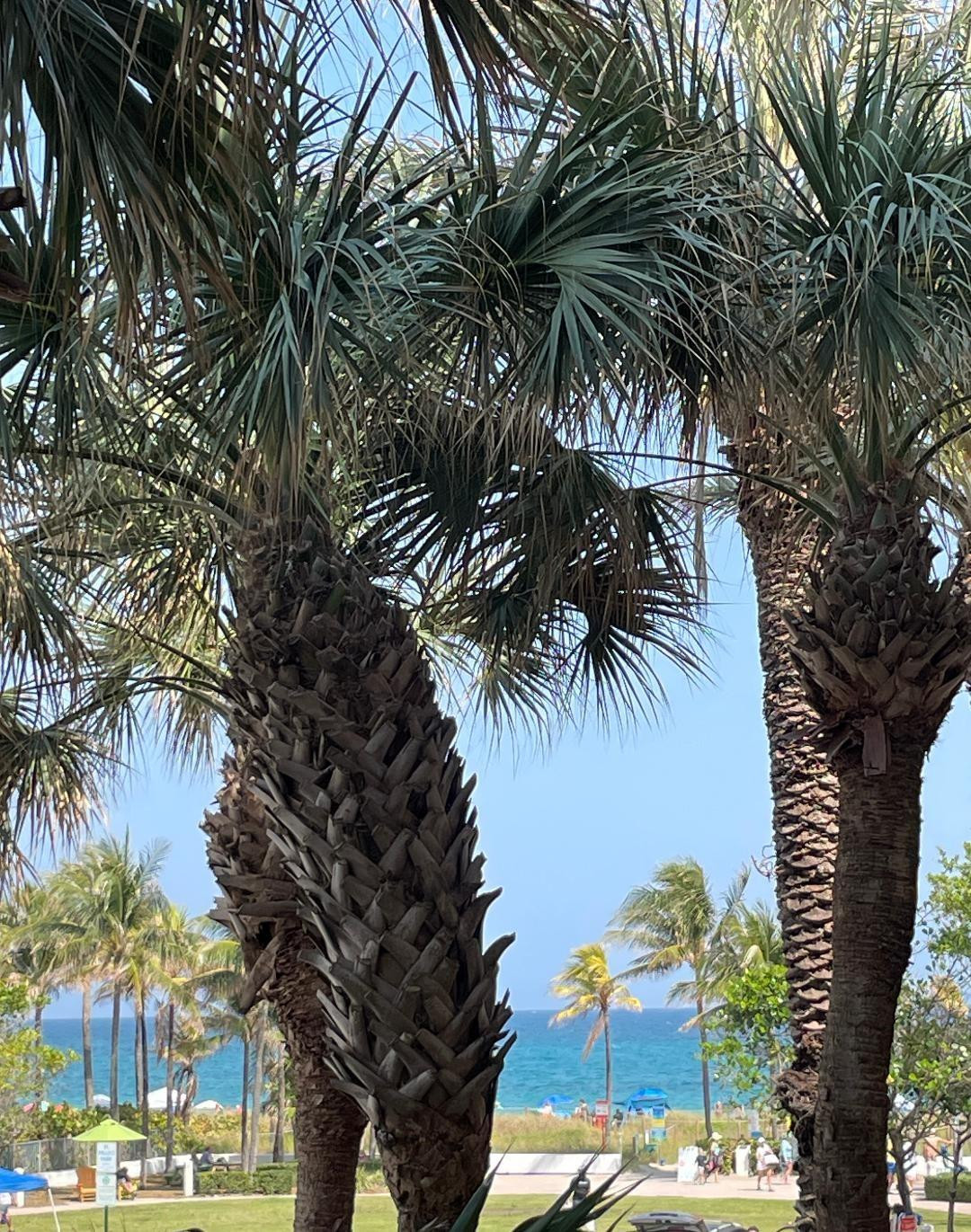 VILLAS BY THE SEA 2 CONDO - Residential