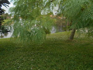 GOLDEN LAKES VILLAGE - Residential