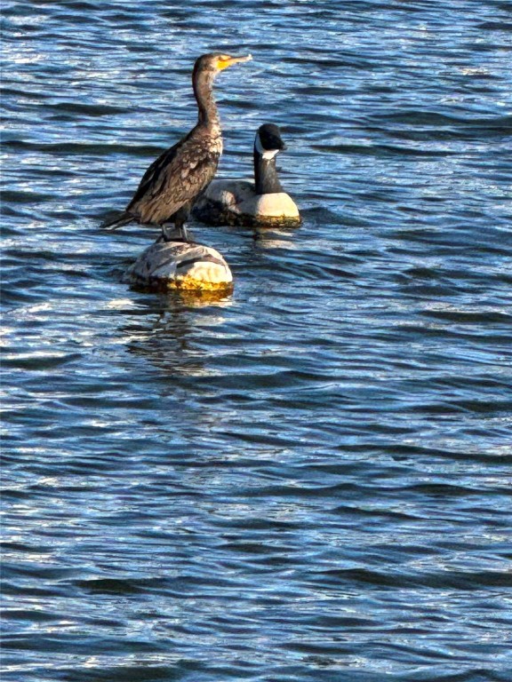 Riverpointe At The Sands Lot 4 - Residential