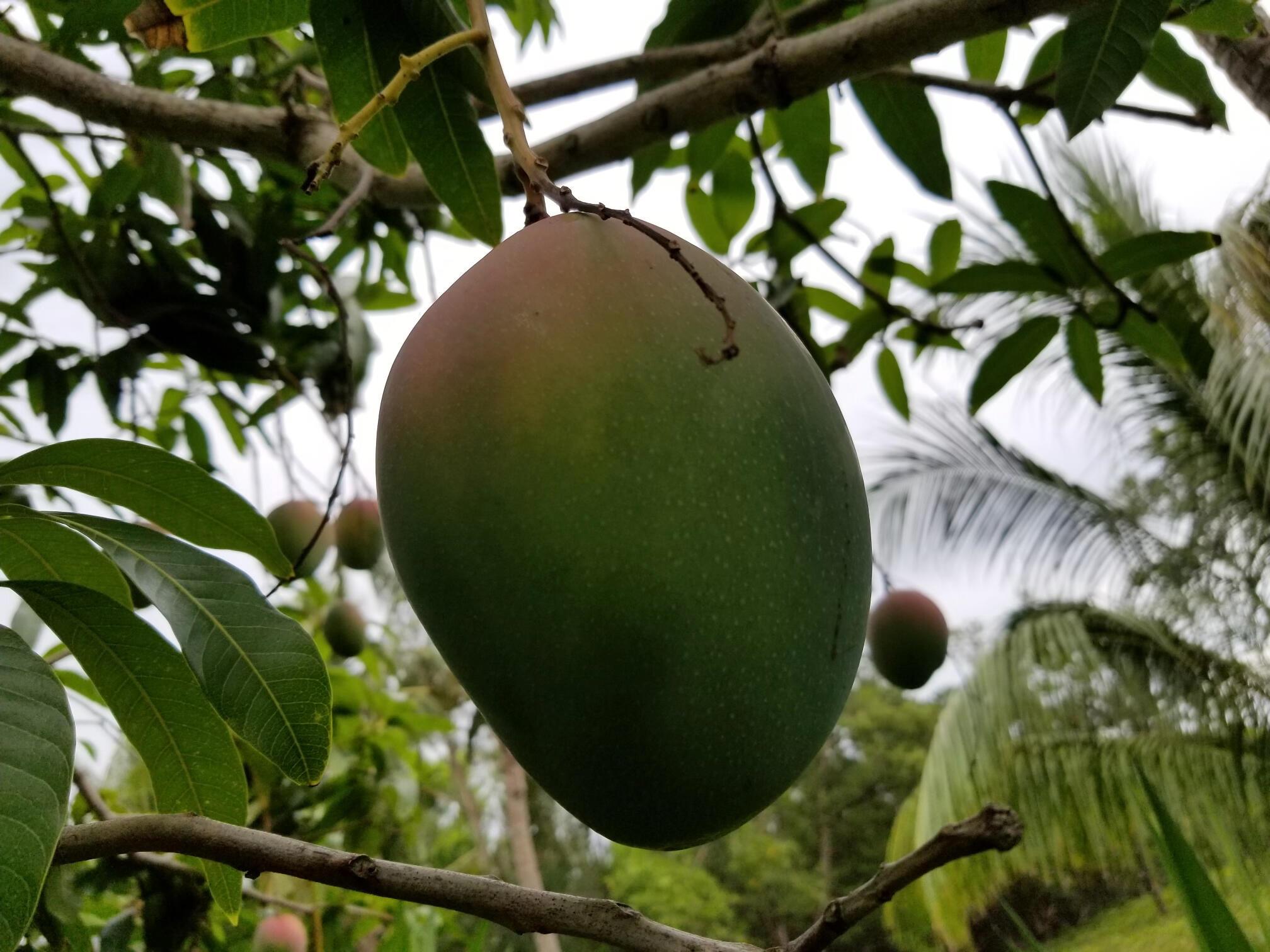 MARINA BAY - Residential