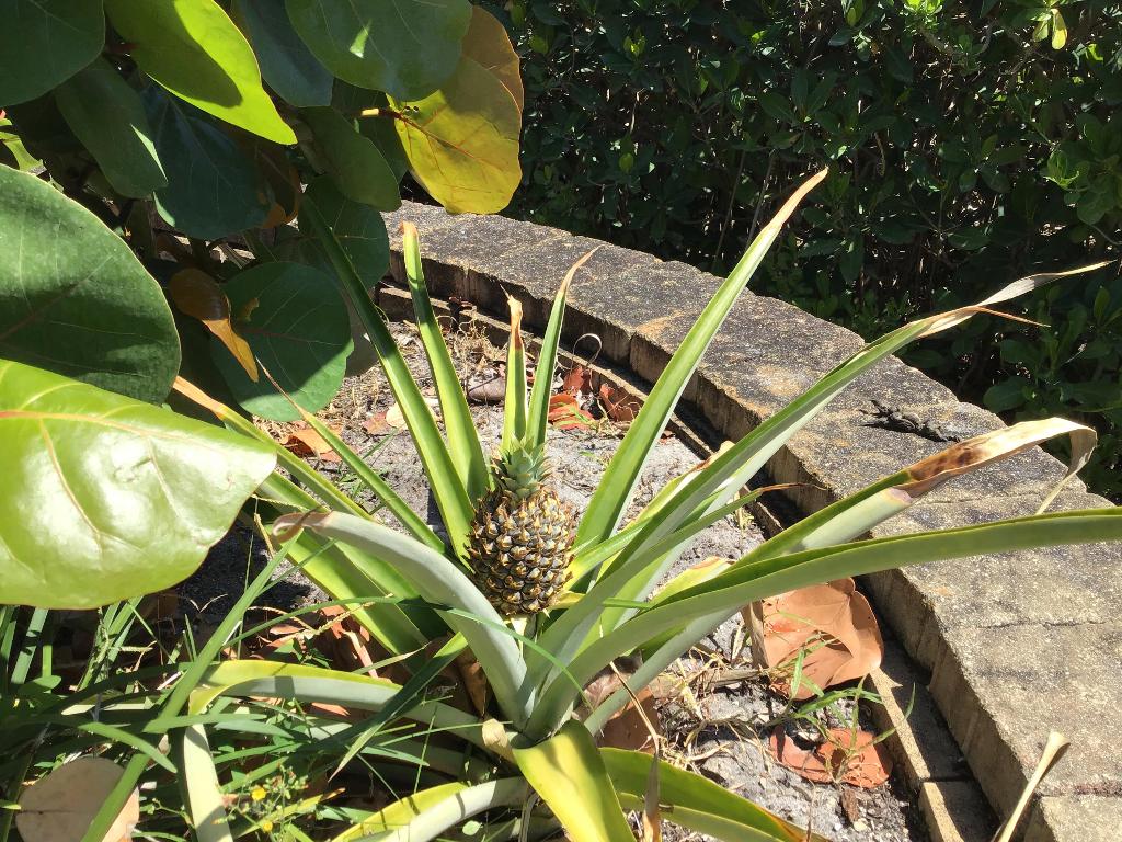 MARINA BAY - Residential