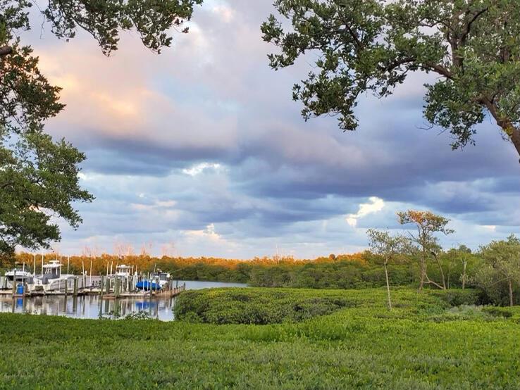 MARINA BAY - Residential