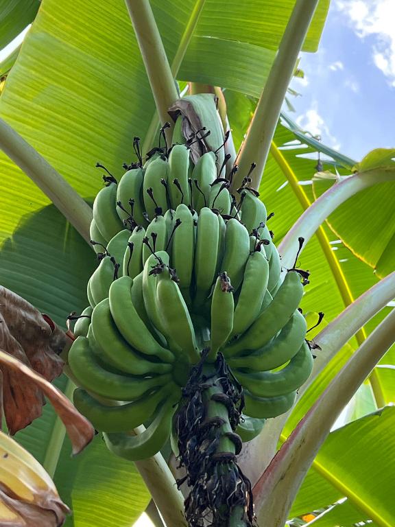 MARINA BAY - Residential