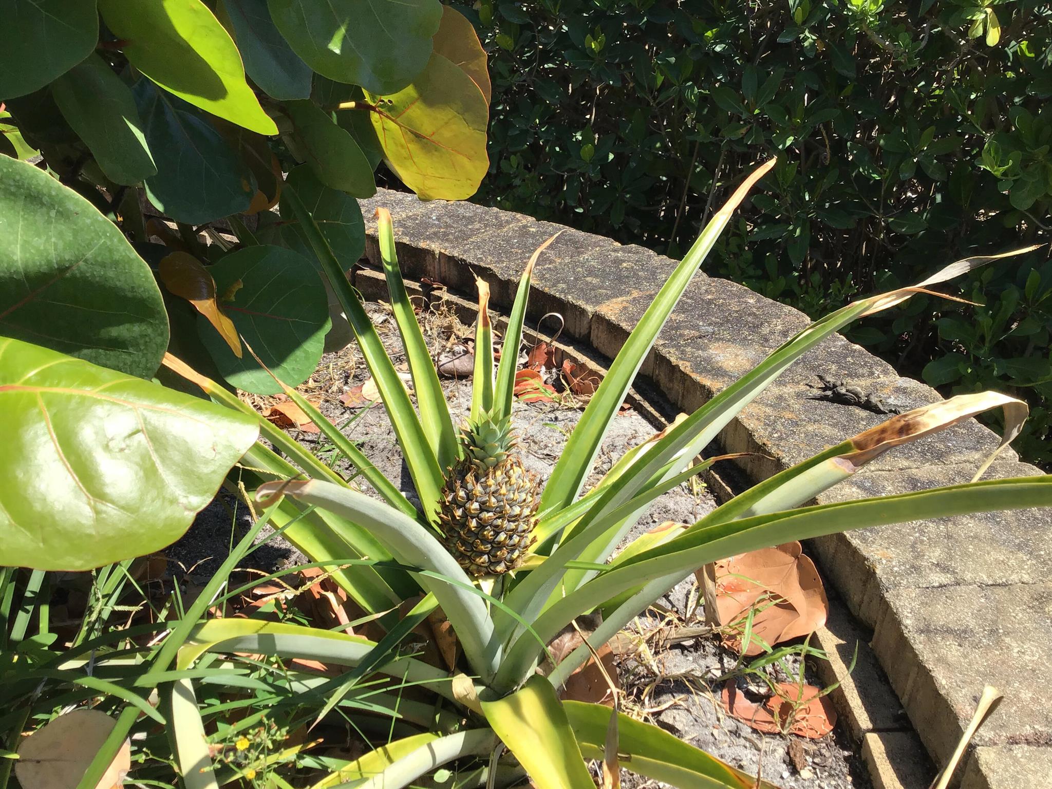 MARINA BAY - Residential