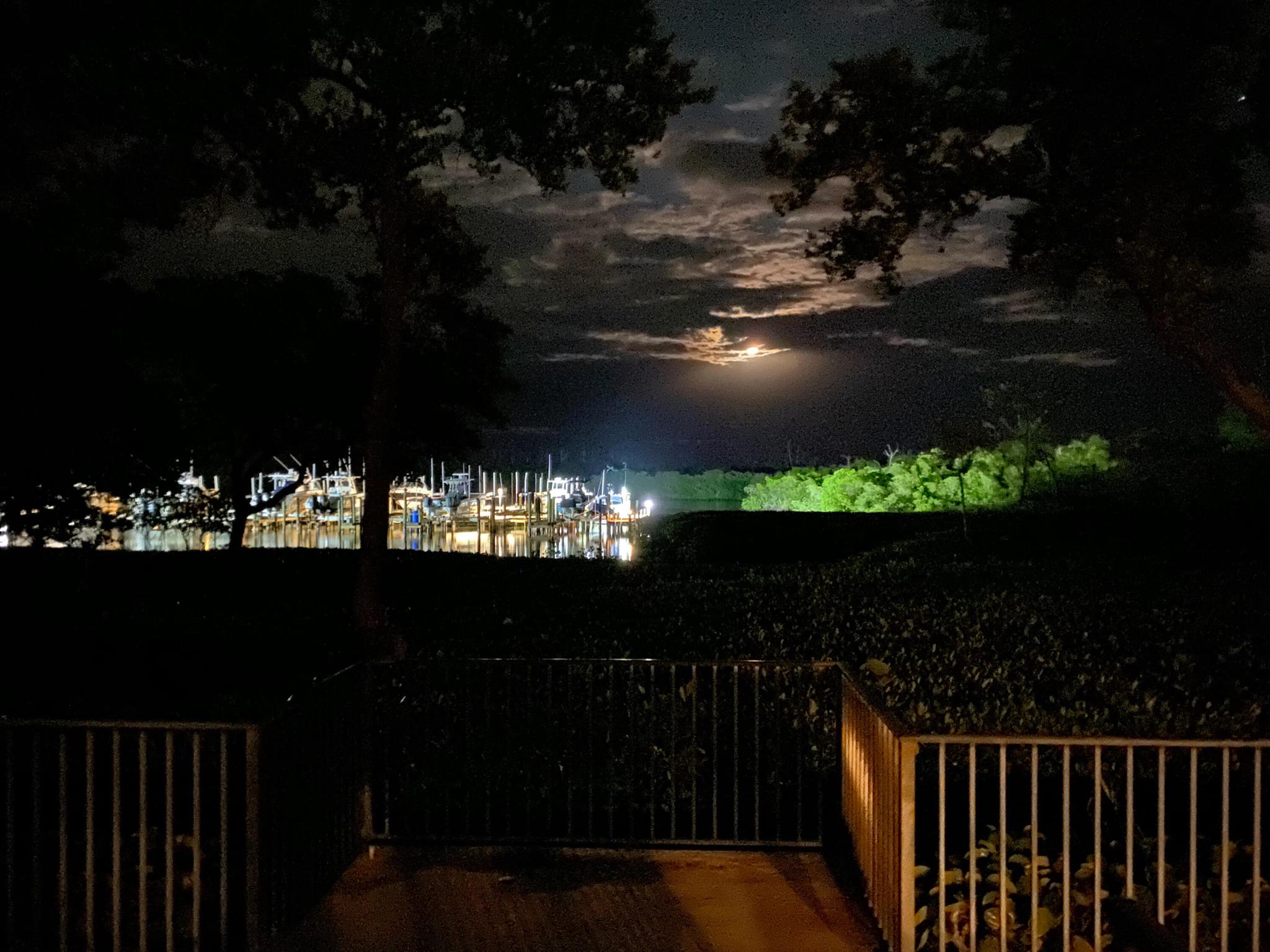 MARINA BAY - Residential