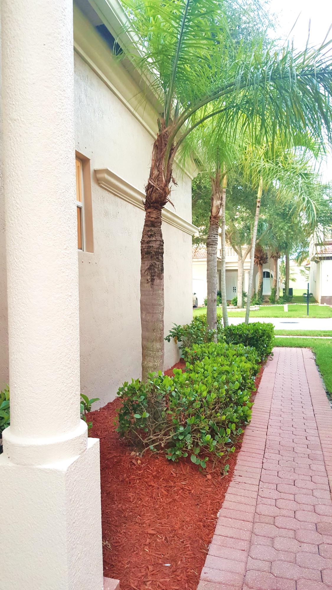 PALMYRA - Residential