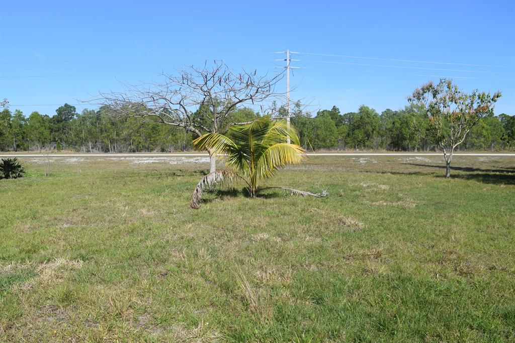 Section 46 - Residential Lease