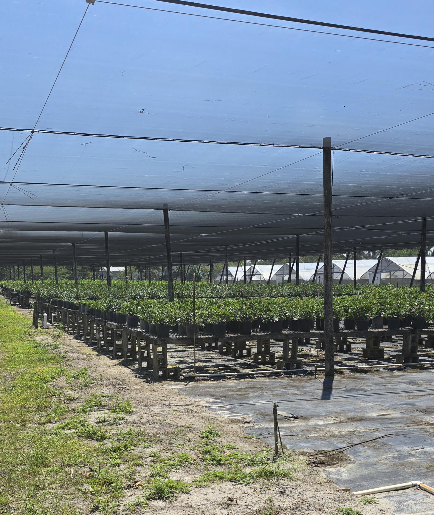 Heritage Farms - Land