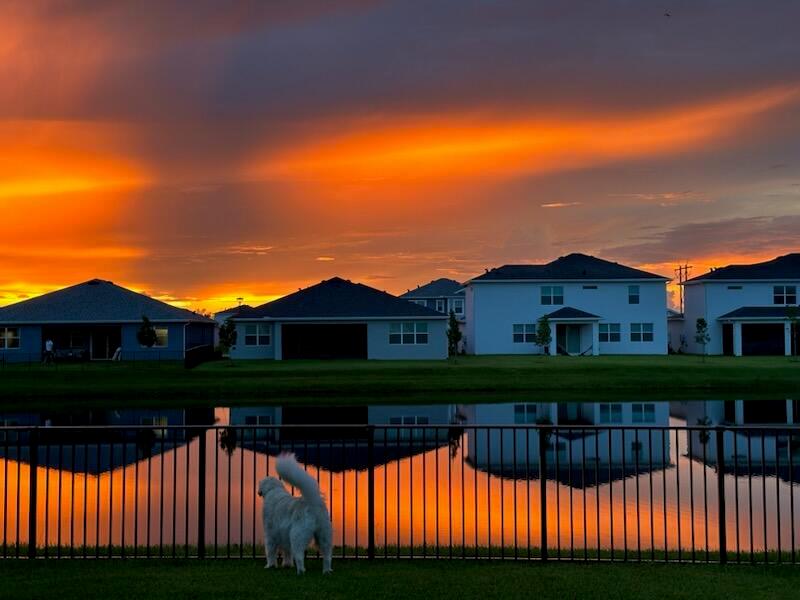 Cadence - Residential