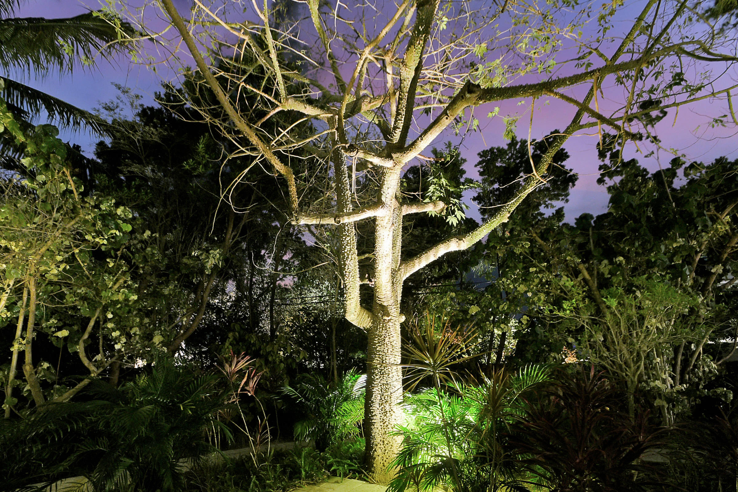 S/D OF 8-46-43 - Residential