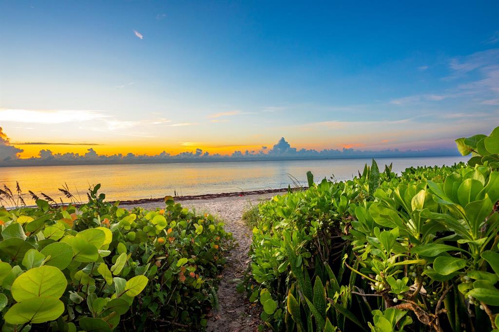 SHORE VIEW - Residential