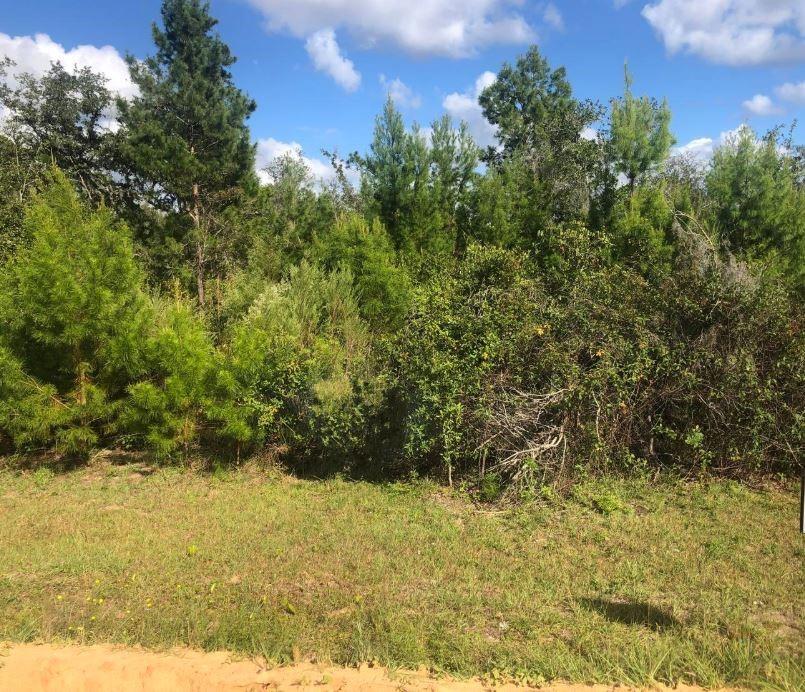 Buildable property with owner finance $1,500 down only!