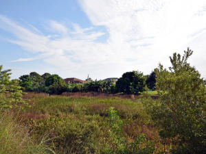 Section 43 - Residential