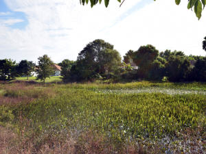 Section 43 - Residential