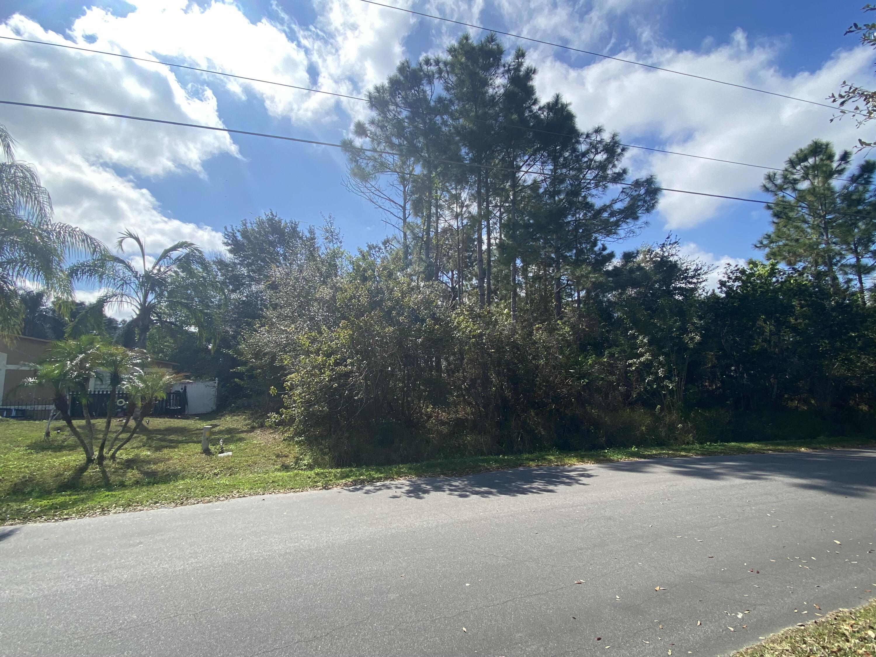 PONCIANA VILAGE 2 LOCATION,LOCATION,LOCATION DONT MISS OUT ON THIS OPERTUNITY TO OWN THIS 1/4 ACRE LOT in a popular and sought-after community in Kissimmee! The community offers Public Water and Sewer, several parks that include sporting fields for softball/baseball, soccer, cricket, basketball courts, playgrounds, restrooms, with walking paths, along with dual small and large dog parks, outdoor exercise trails, pavilion, shade structures, picnic tables, amphitheater and nearby Lake Marion Marina with pier and gazebo. Community Pool and Fitness Center and the Mary Jane Arrington Gym and Aquatic Center also available for additional fees. near shopping centers schools, restaurants, medical centers also not far from all the Florida Theam parks and much more