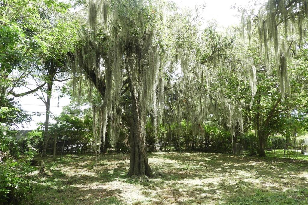 COBB'S PARK REPLAT - Residential