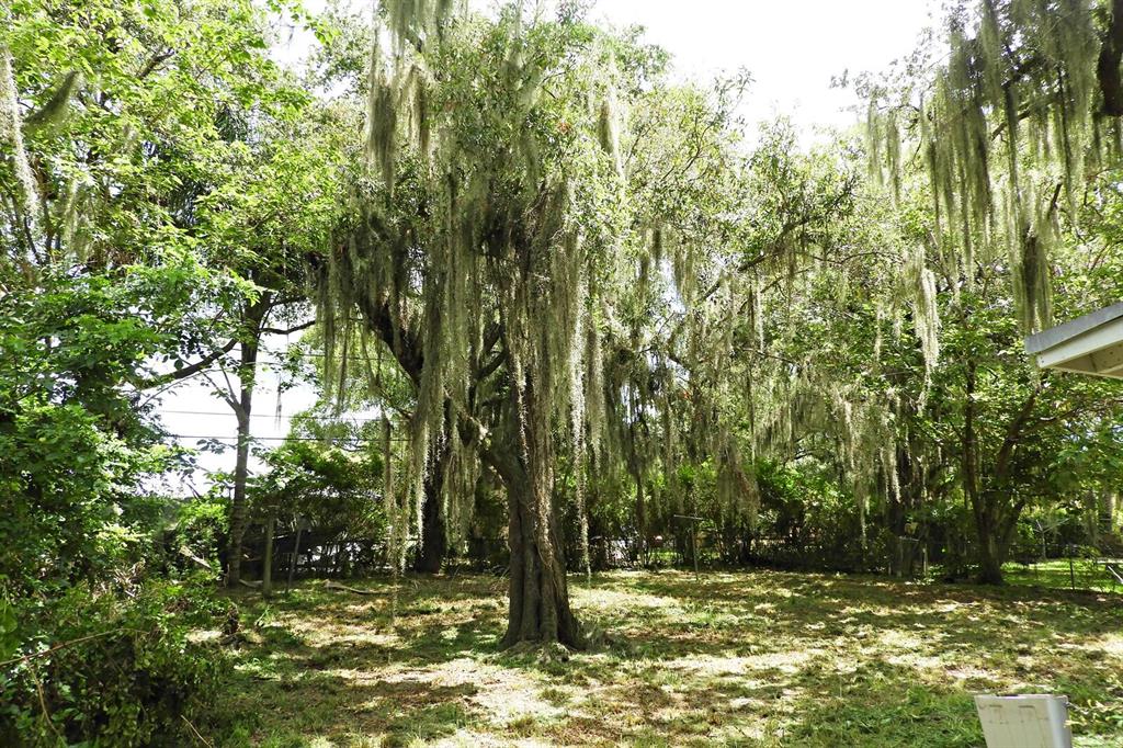 COBB'S PARK REPLAT - Residential