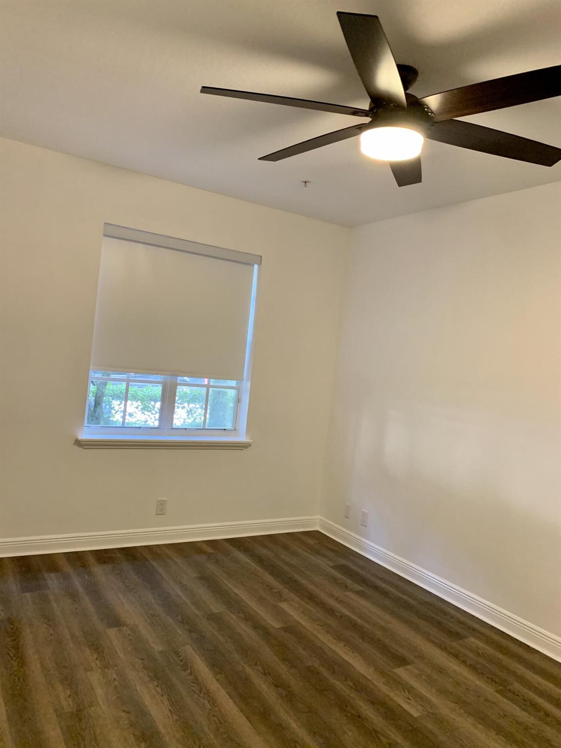 104 Jesup Lane