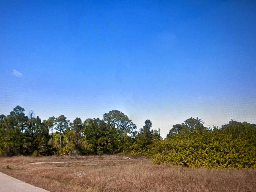 Great opportunity to own a rare, oversized double corner lot in rapidly growing Lehigh Acres. Ideally located with quick access to SR-82 and I-75, offering convenient connectivity to Fort Myers, Southwest Florida International Airport, shopping, dining, schools, and major employment centers. This spacious homesite offers the perfect setting to design and build your custom dream home with ample room for privacy, outdoor living and future expansion. Located in a high growth area with ongoing development, making it an excellent choice for both homeowners and investors.  Buyer to verify all zoning, land use, setbacks, and utility availability. Utilities in the area are typically electric available at street with well and septic required for development buyer should confirm all services connections with appropriate providers. No survey or environmental reports currently available unless otherwise noted. Please refer to county records for additional parcel and legal information.