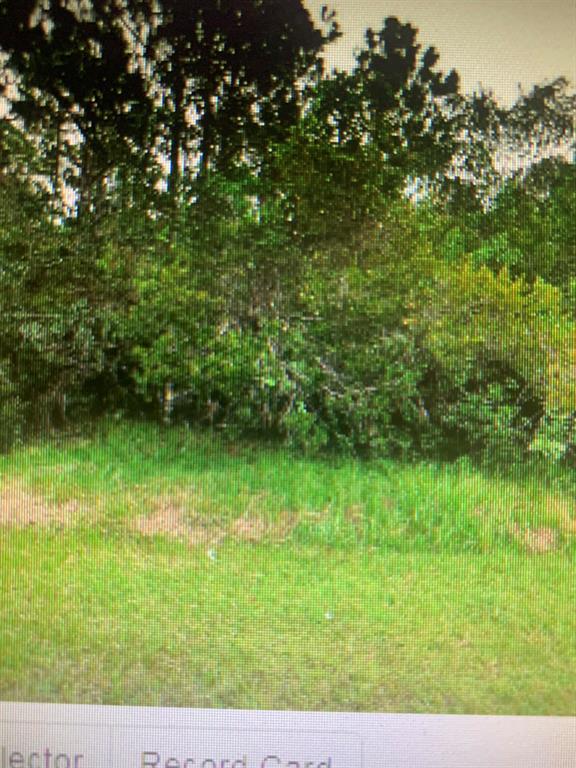 SABAL CREEK PHASE II - Land