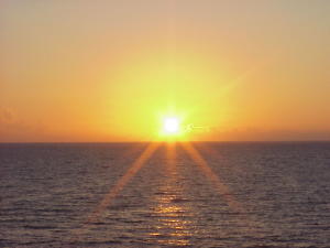 Ocean Towers Condominium - Residential