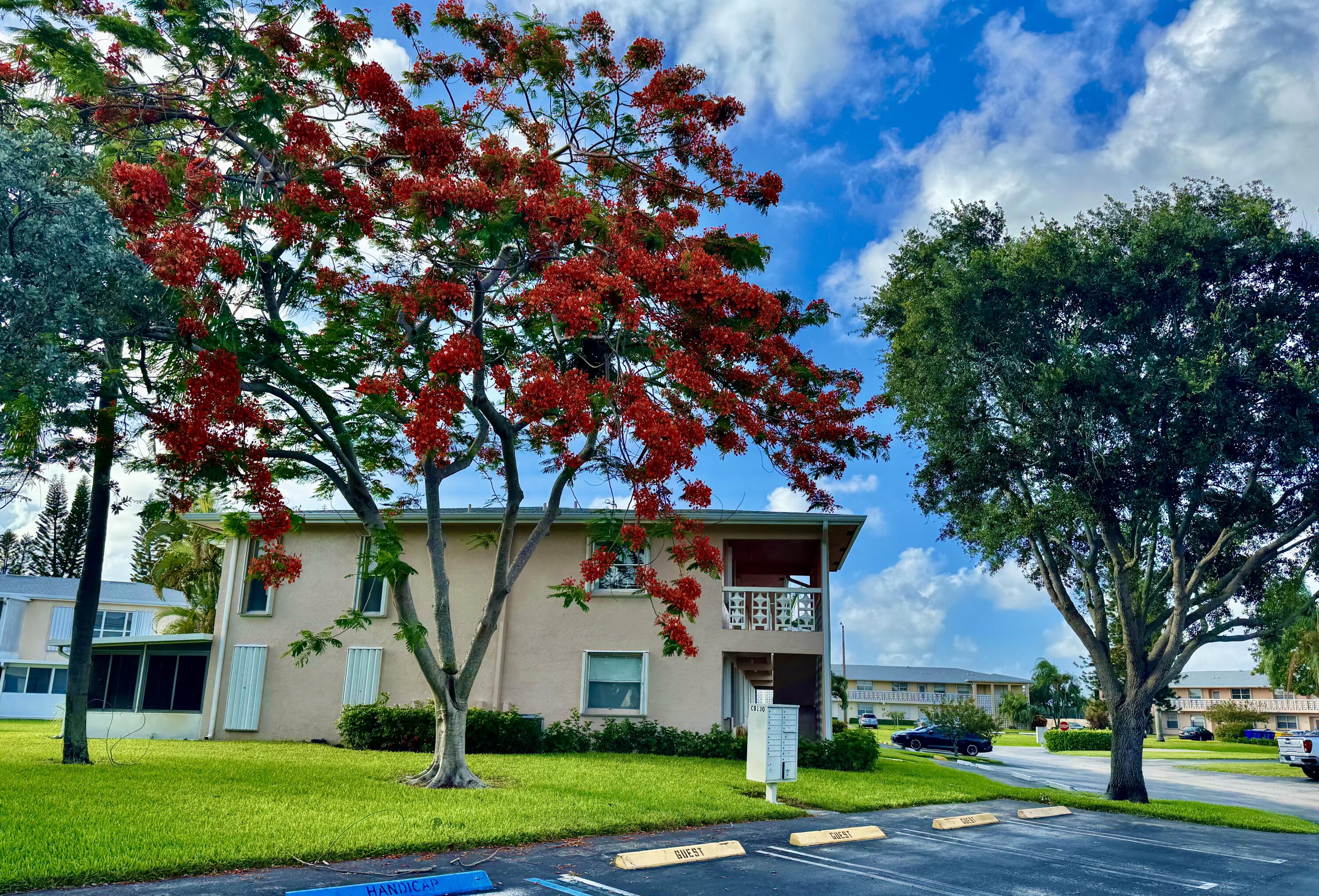 1740 NW 19th Terrace Apt 201