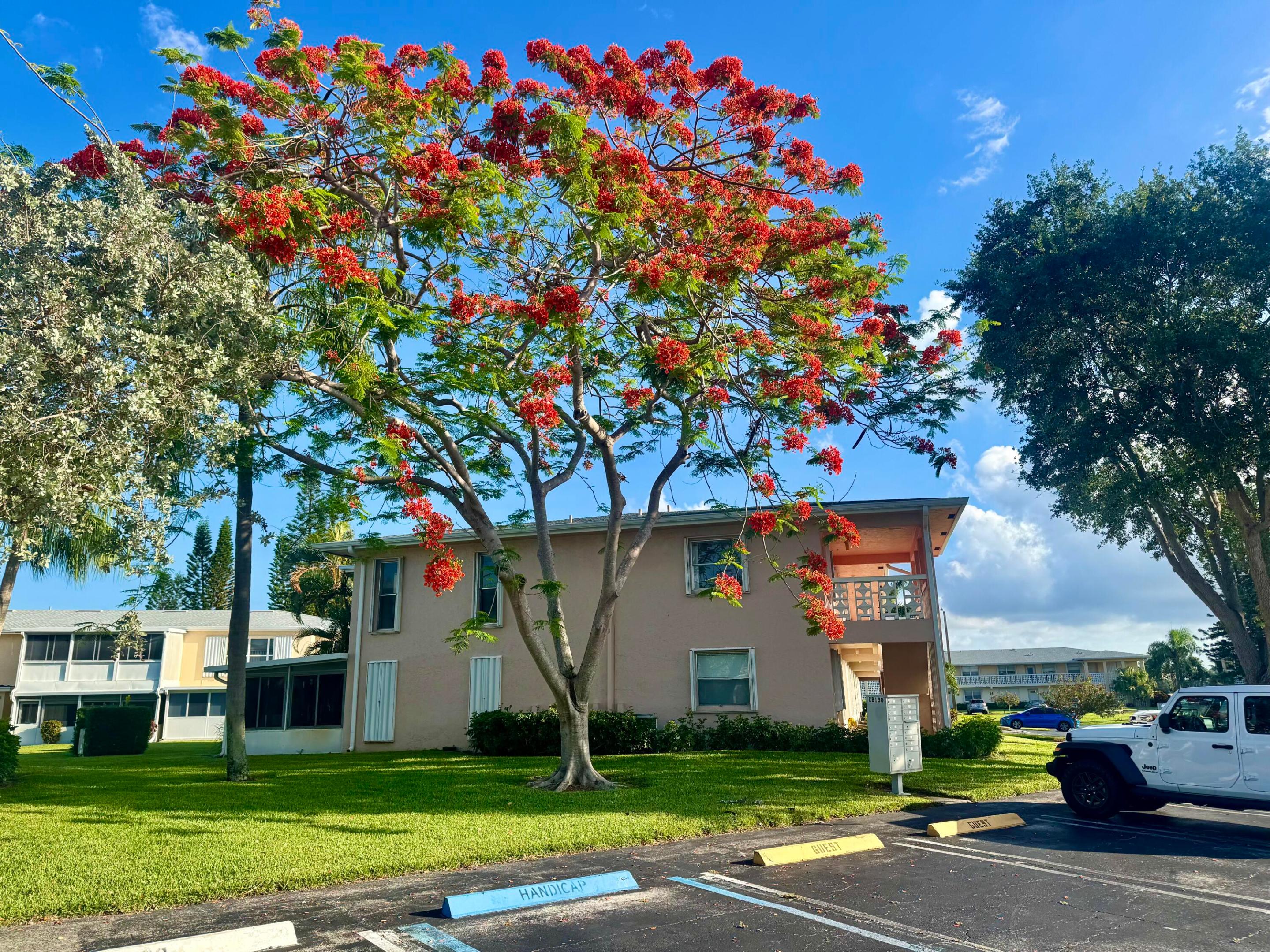 PINES OF DELRAY NORTH CONDO - Residential