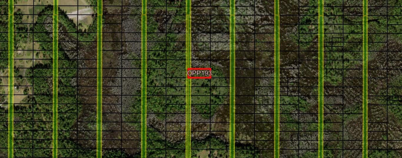 Opp193 Orlando Pines - Land
