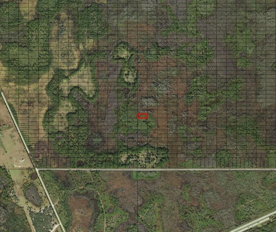 CAMP HUNT RIDE off Old Grade Road in Polk City, FL. This private one acre lot is a blank canvas for your recreational and/or agricultural ventures. Take advantage of our owner financing with only $1,500 down and no closing costs. Superb hutingOwner financing available