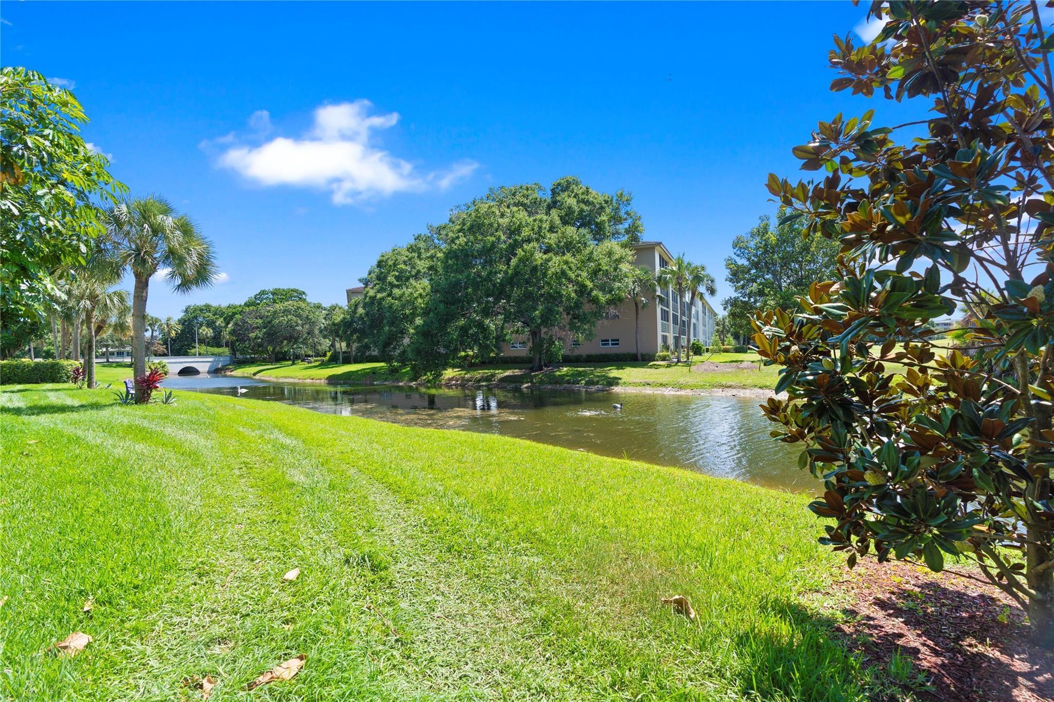 WYNMOOR - Residential