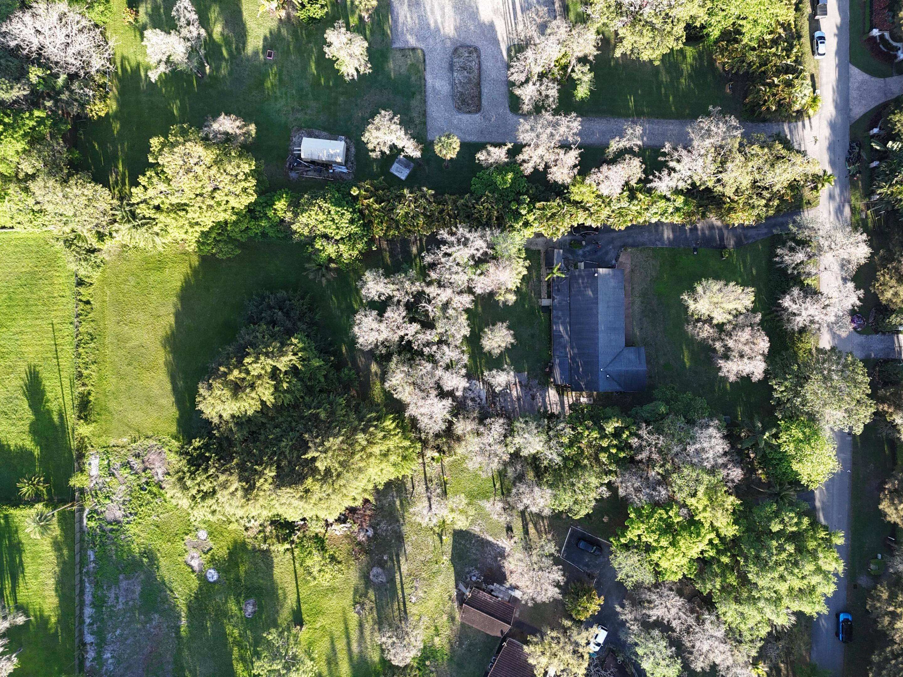 FLA FRUIT LANDS CO SUB NO 2 - Residential